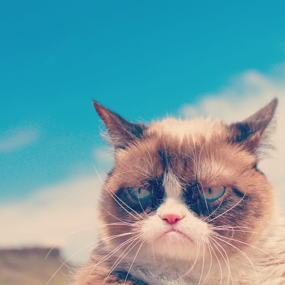 11193371_855349854500753_8444312906243821761_n