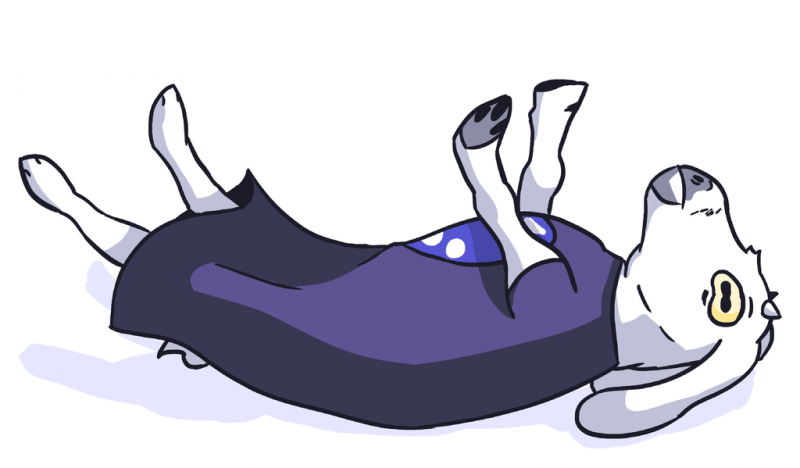 Despiértame cuando pase el&nbsp;temblor