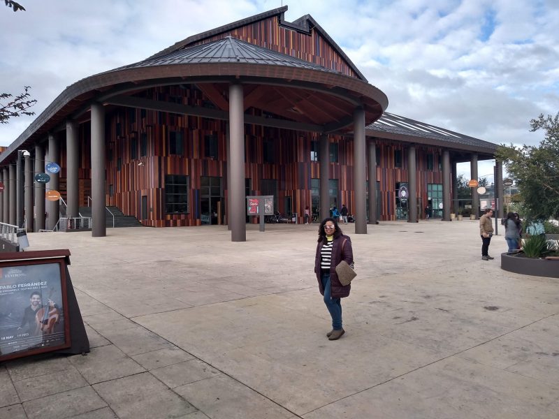 Mi primer viaje al sur de Chile II: con ganas de&nbsp;quedarme